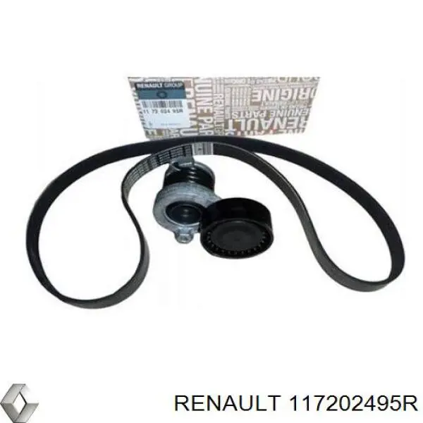 Ремень приводной 117202495R Renault (RVI)