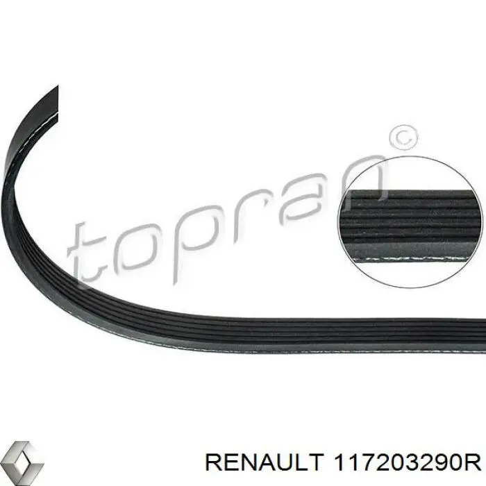 Correa de transmisión coche 117203290R Renault (RVI)