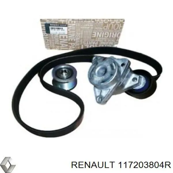 Ремень агрегатов приводной, комплект Renault (RVI) 117203804R цена, от 84.43 USD