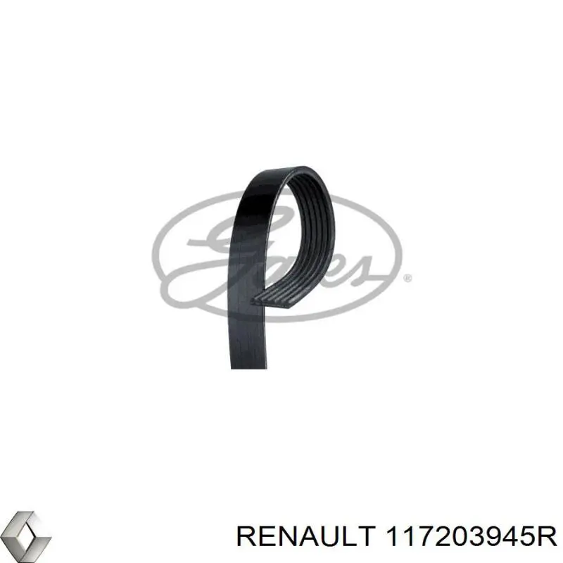 117203945R Renault (RVI) 