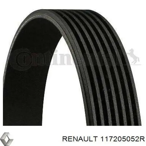 Correa trapezoidal 117205052R Renault (RVI)