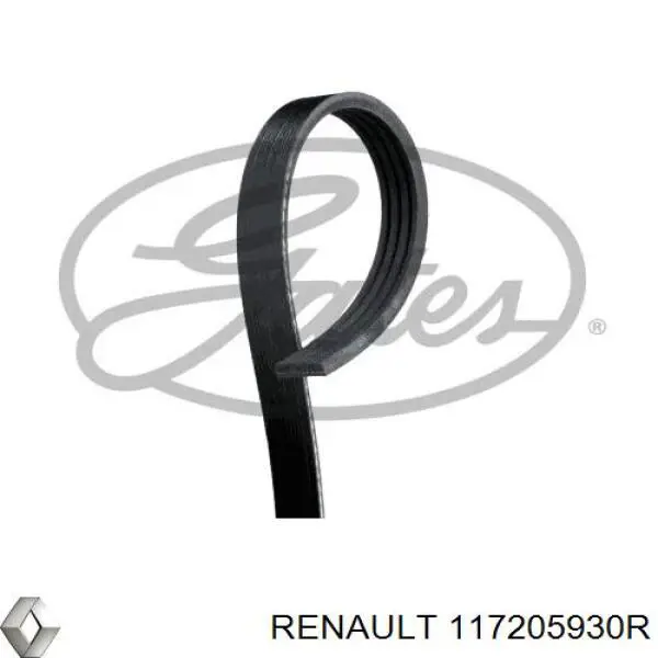 117205930R RENAULT Correa trapezoidal original y equivalente