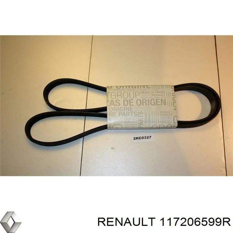 117206599R Renault (RVI)