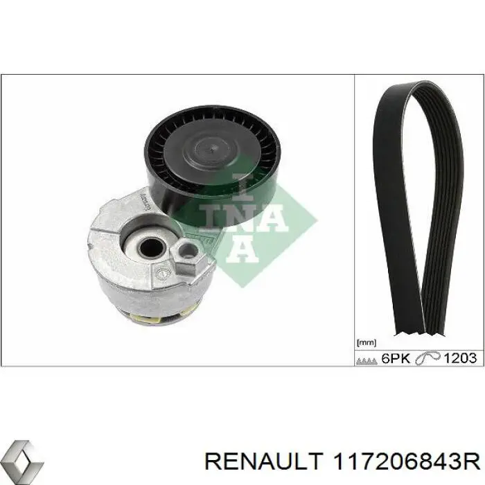 117206843R Renault (RVI)