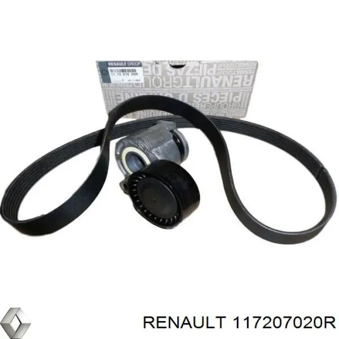 117207020R Renault (RVI) correia dos conjuntos de transmissão, kit
