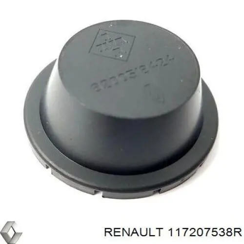Ремень приводной 117207538R Renault (RVI)