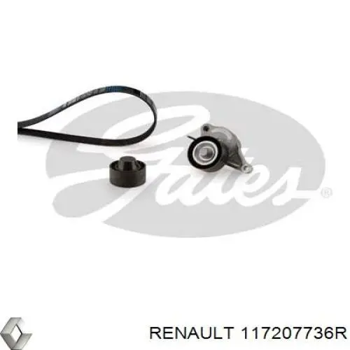 117207736R Renault (RVI) correia dos conjuntos de transmissão, kit