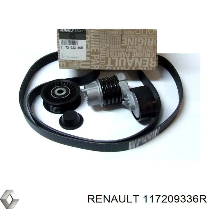 Купить 117209336R Renault (RVI) Ремень приводной