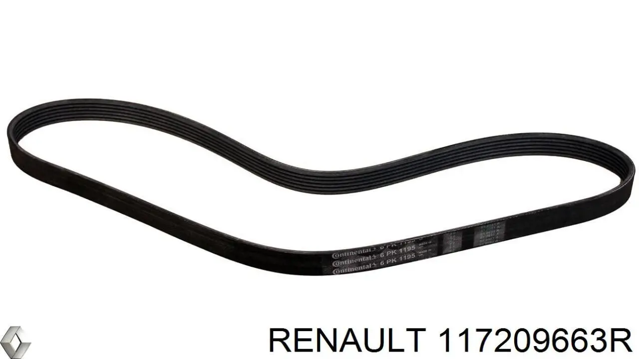 117209663R Renault (RVI) 