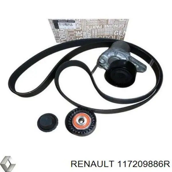 117209886R Renault (RVI)