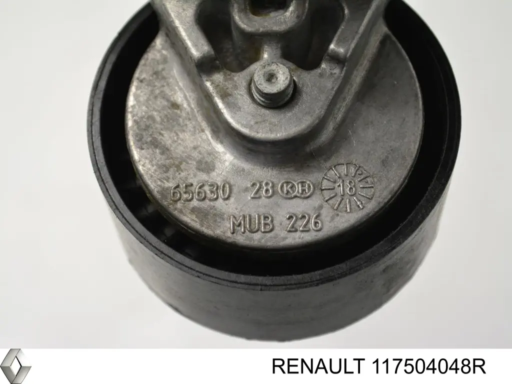  117504048R Renault (RVI)