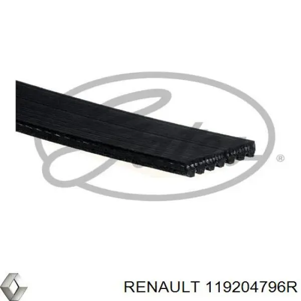 119204796R Renault (RVI) correia dos conjuntos de transmissão