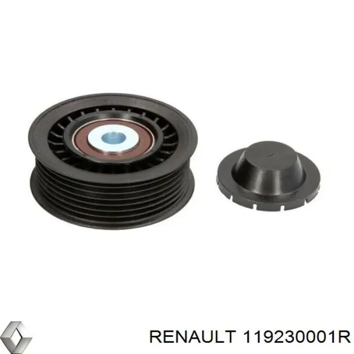Паразитный ролик 119230001R Renault (RVI)