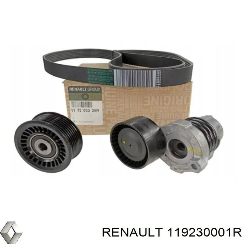 119230001R Renault (RVI) паразитный ролик