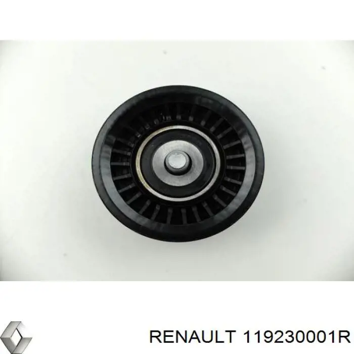 119230001R Renault (RVI) Ролик приводного ремня, паразитный
