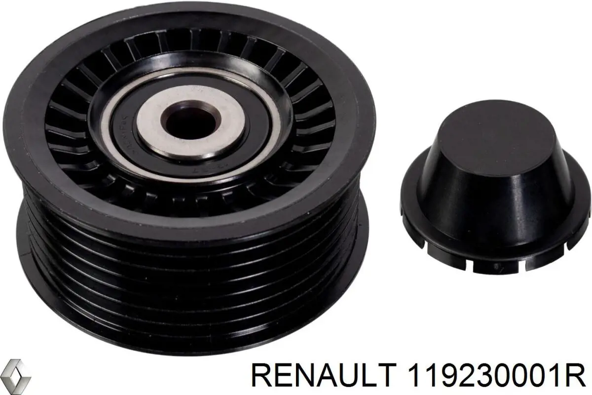 Ролик паразитный Renault (RVI) 119230001R