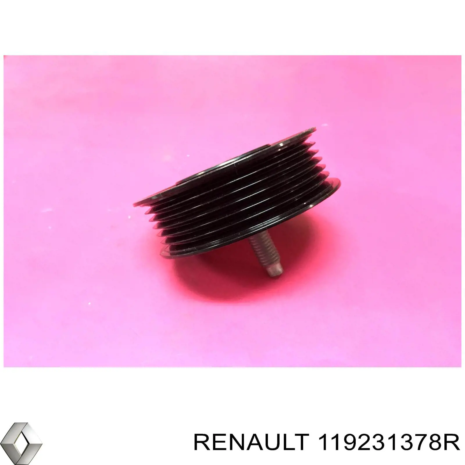 Паразитный ролик приводного ремня Renault (RVI) 119231378R цена, от 21.53 USD