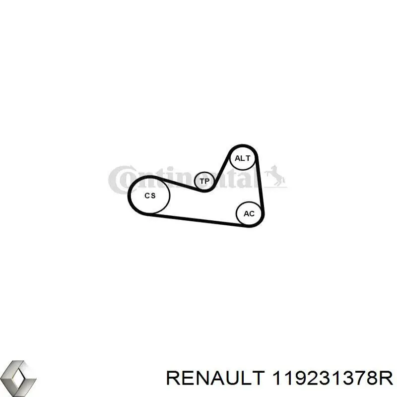 Купить 119231378R Renault (RVI) Паразитный ролик