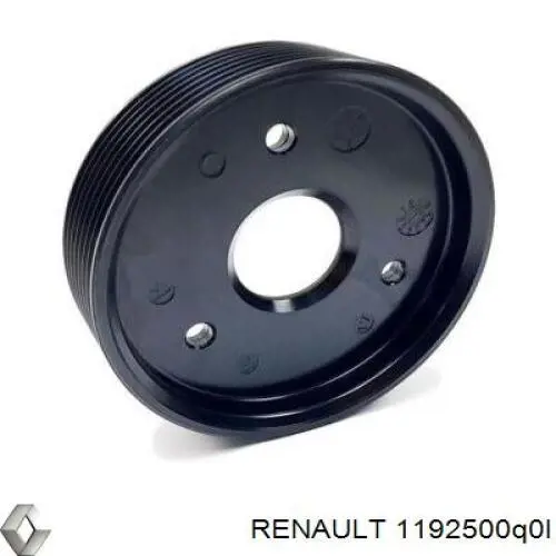 Шкив насоса ГУР Renault (RVI) 1192500Q0L