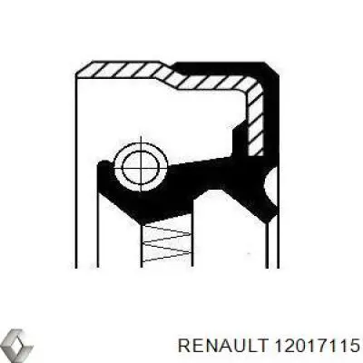 Сальник полуоси переднего моста правой 12017115 Renault (RVI)