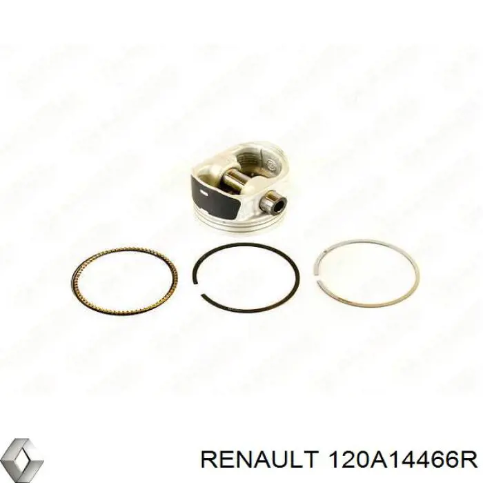 120A14466R Renault (RVI) pistão do kit para 1 cilindro, std