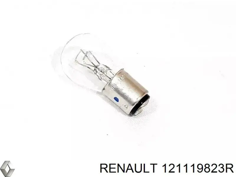 121119823R Renault (RVI) 