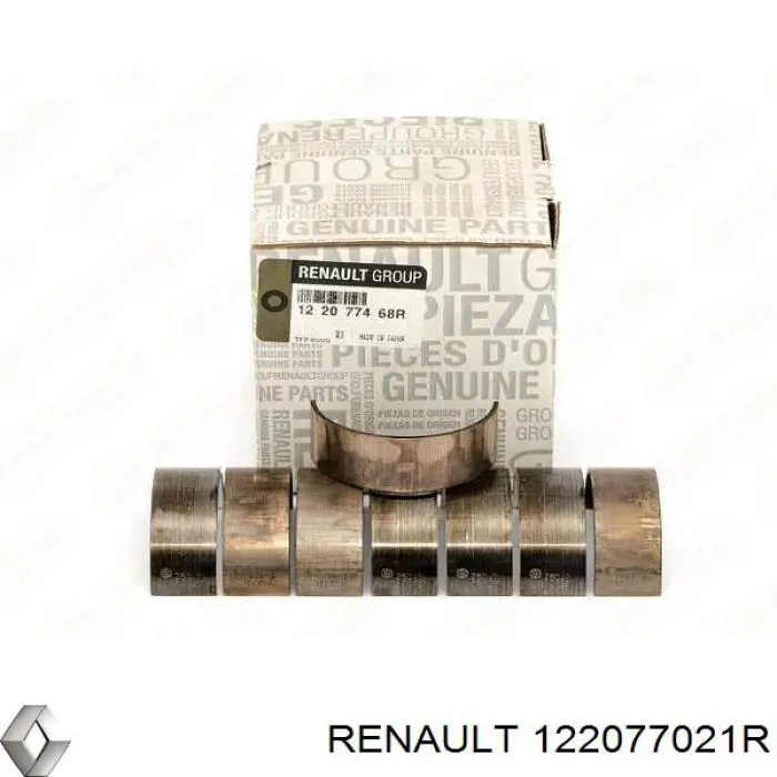 122077021R Renault (RVI)