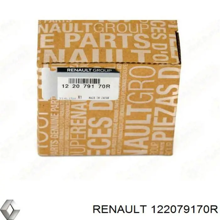 122079170R Renault (RVI)