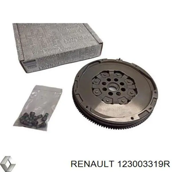 Volante motor 123003319R Renault (RVI)