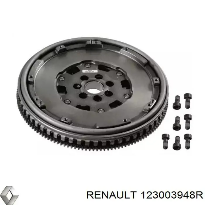 123003948R Renault (RVI)