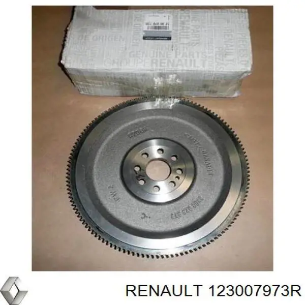  123007973R Renault (RVI)