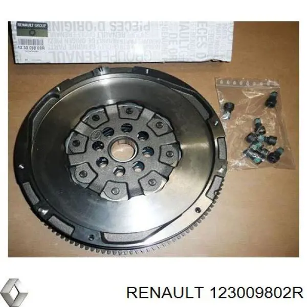 123009802R Renault (RVI)