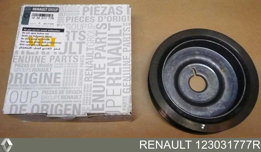 123031777R Renault (RVI) polia de cambota