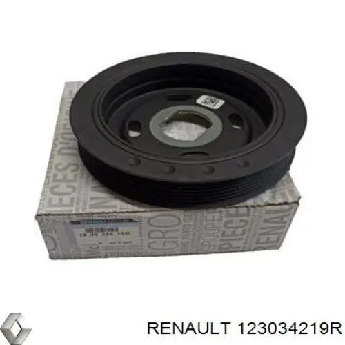 Polia de cambota 123034219R Renault (RVI)