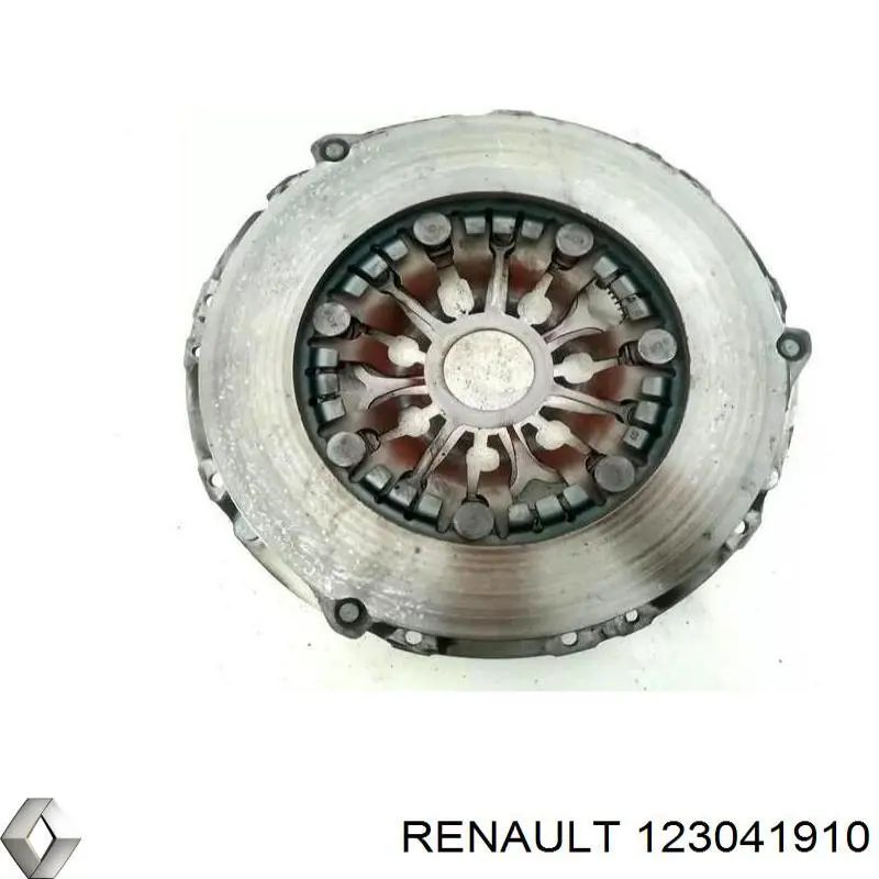  123041910 Renault (RVI)