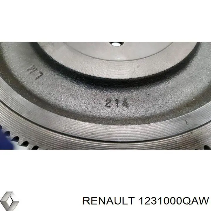 1231000QAW Renault (RVI) volante de motor