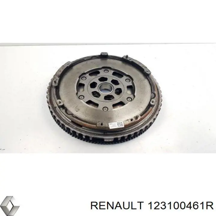  123100461R Renault (RVI)