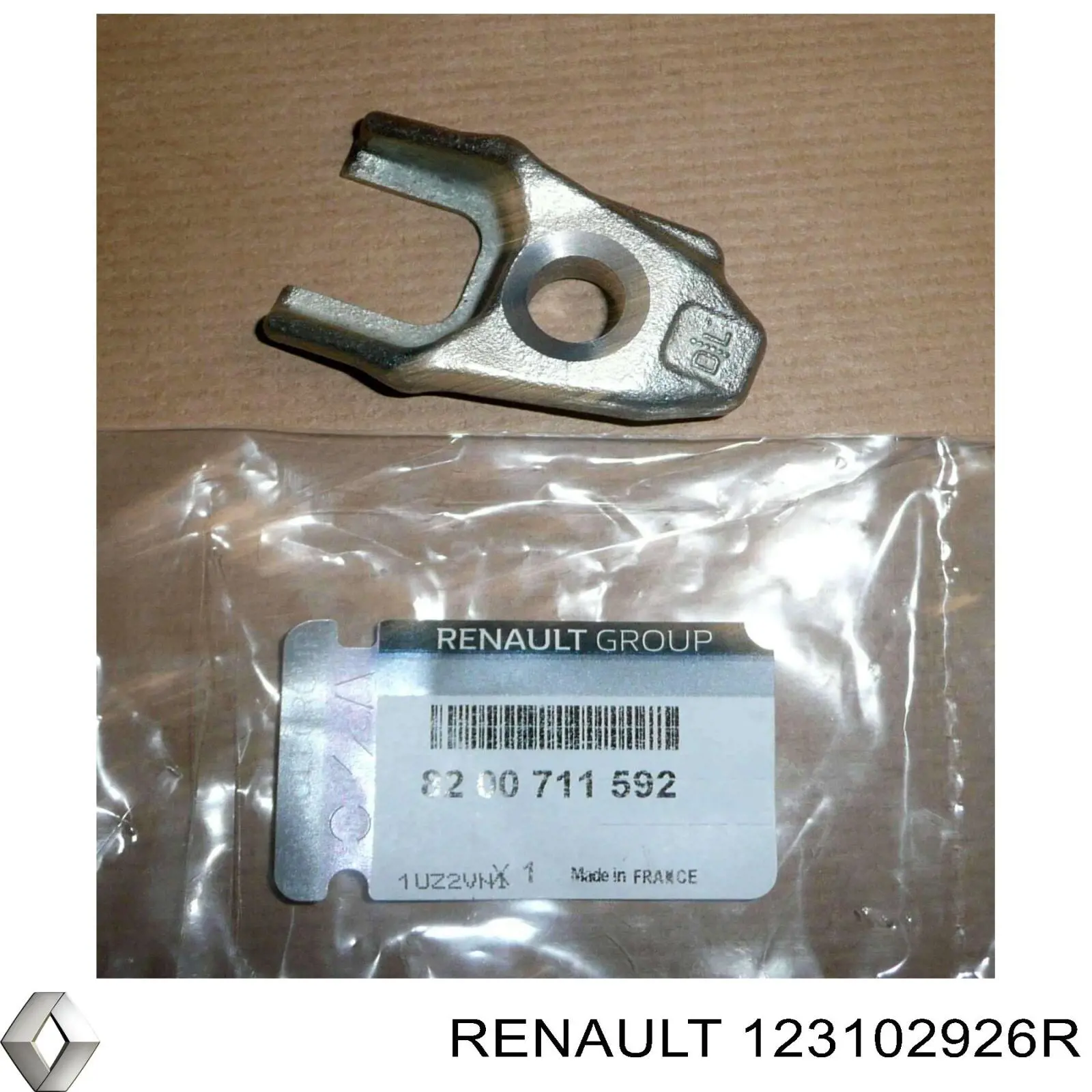 123102926R Renault (RVI) 