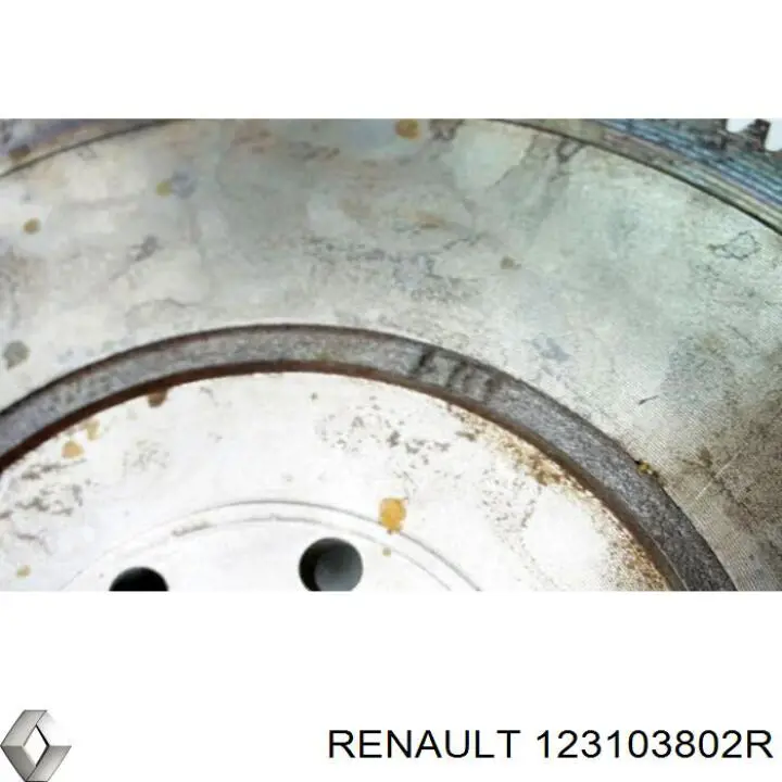  123103802R Renault (RVI)