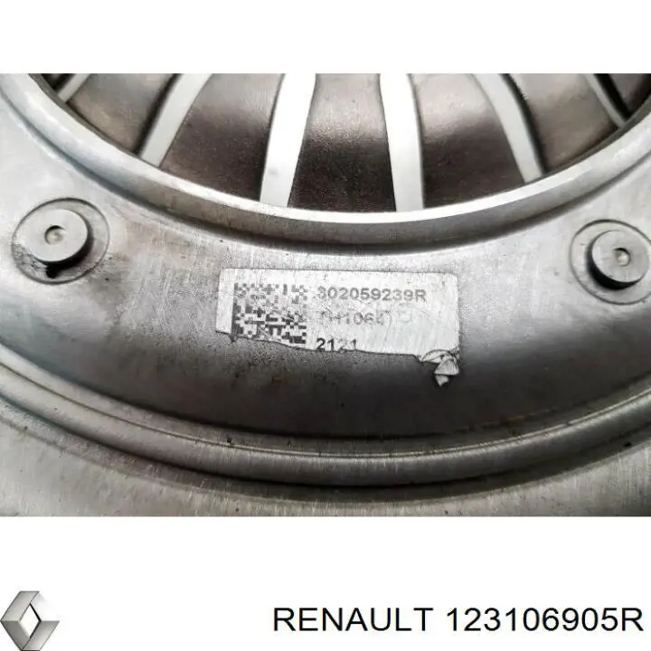  Renault (RVI) 123106905R цена, от 788.22 USD