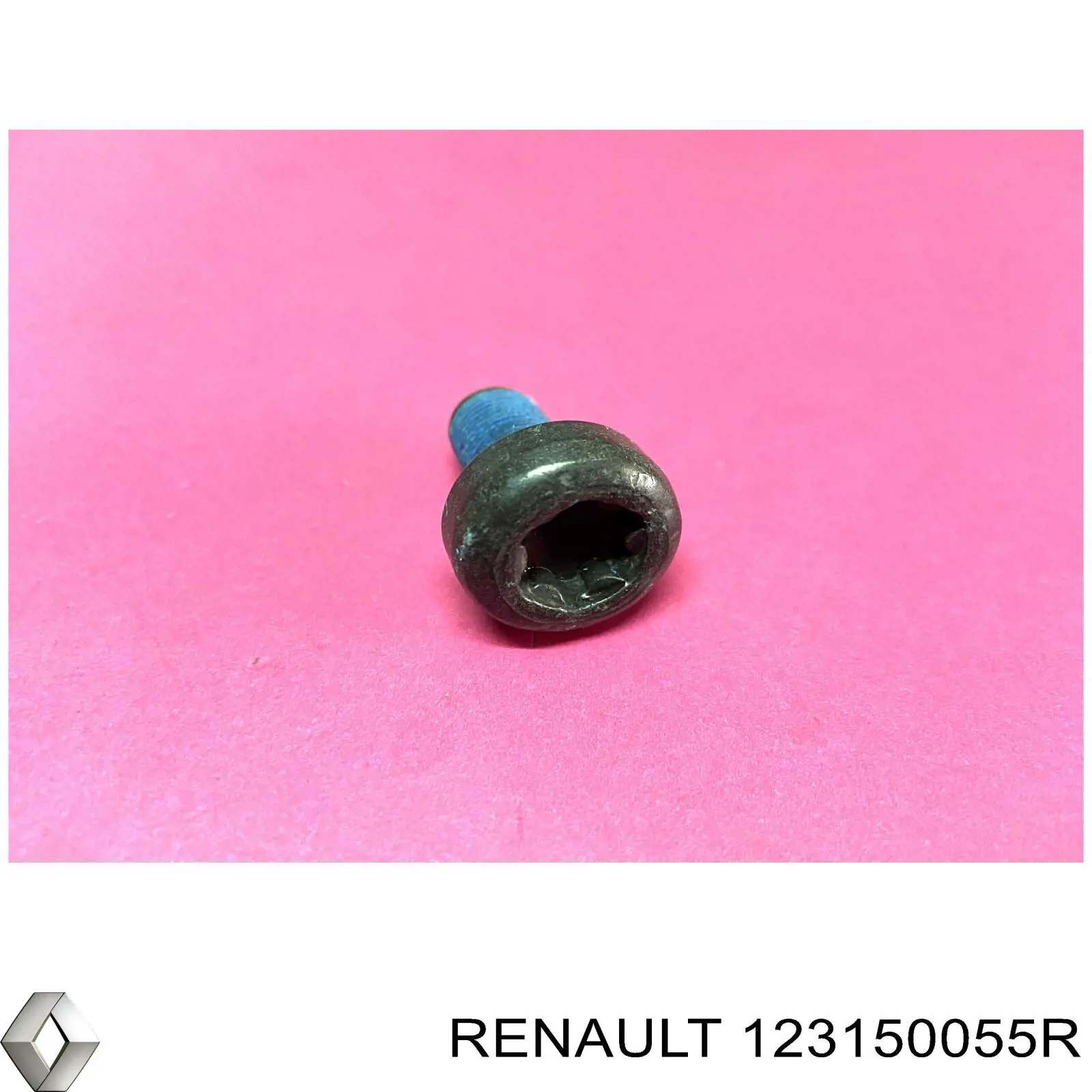 123150055R Renault (RVI)