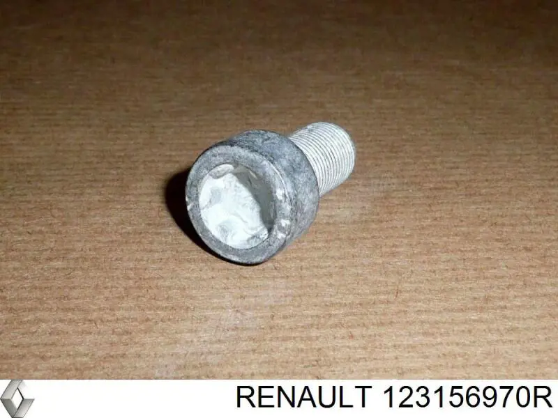 123156970R Renault (RVI)