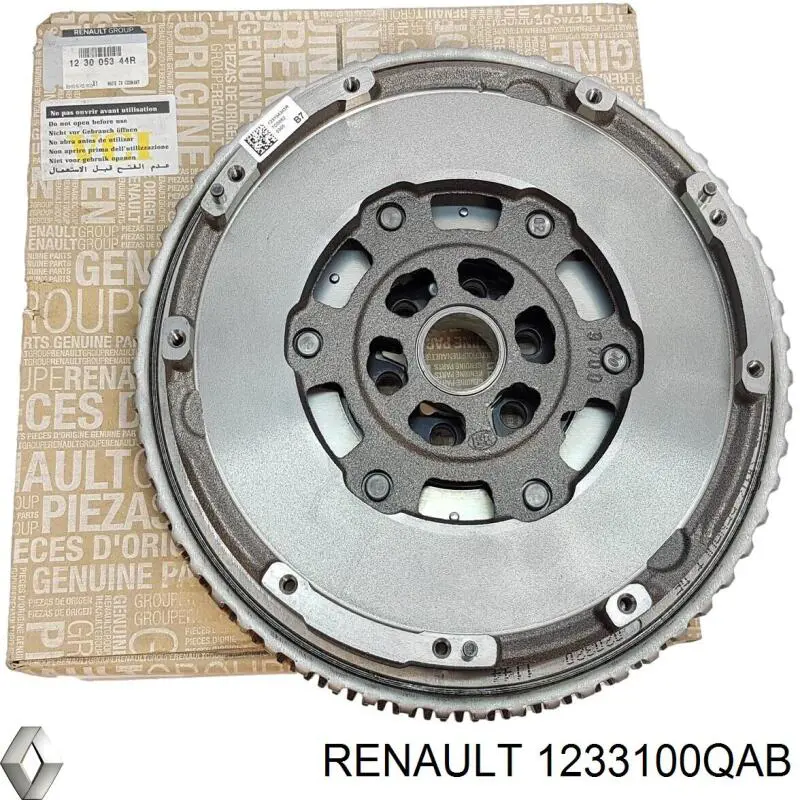 1233100QAB Renault (RVI) volante de motor