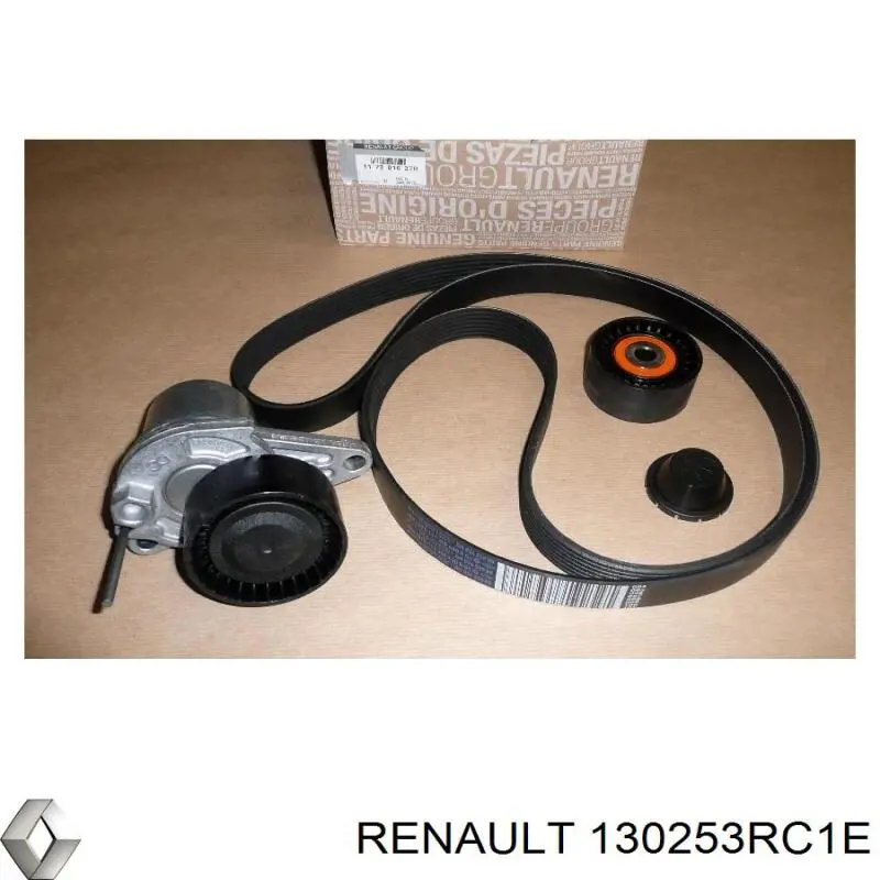  Nissan/Infiniti 130253RC1E