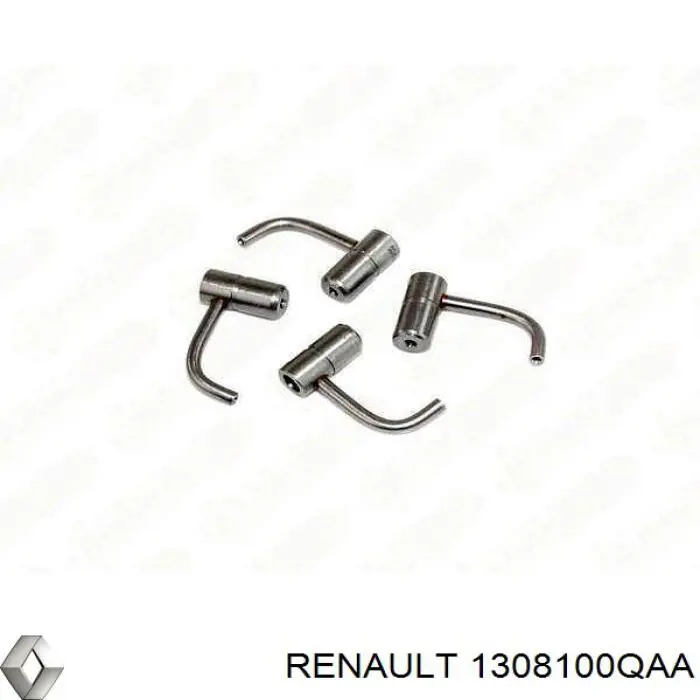 1308100QAA Renault (RVI) 