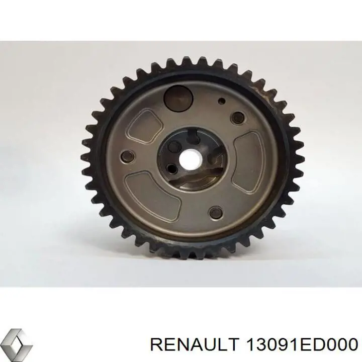 Купить 13091ED000 Renault (RVI) Башмак натяжителя цепи ГРМ