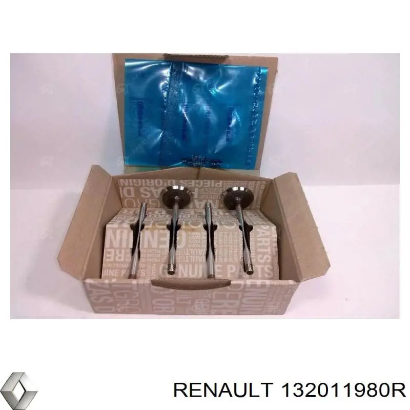 132011980R Renault (RVI) válvula de admissão