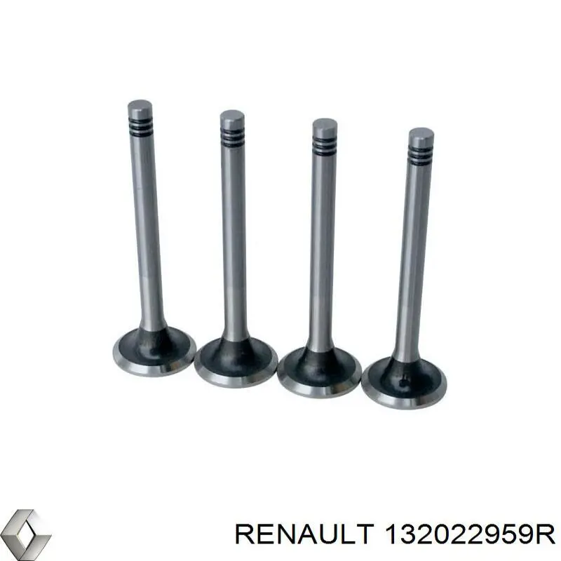 Выпускной клапан 132022959R Renault (RVI)