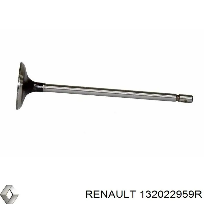 132022959R Renault (RVI) Выхлопной клапан