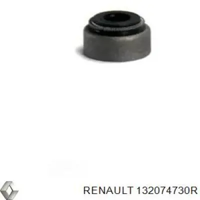 132074730R Renault (RVI) bucim de válvula (coletor de óleo, admissão/escape)